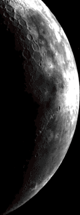 
The mean diameter of the Moon: 3475 km 
The mean diameter of the Earth: 12,756 km 
The mean distance of the Moon to the Earth: 384,500 km 

From trigonometry we get: 
    tan X(M) = 3475/420,286 = 8.268 x 10^-3 and tan X(E) = 12,756/35,786 = 3.564 x 10^-1 
    where X(M) is the angular size of the Moon and X(E) is the angular size of the Earth. 

From the inverse tans we get: 
    X(M) = 0.47 degrees and X(E) = 19.62 degrees 
    The ratio in sizes of the Earth to the Moon in the GEOS images should be 19.62/0.47 = 41.7. In other words, the Earth should appear 41.7 times larger. 

NOAA's GOES to the Earth (since it is in geostationary orbit): 35,786 km 
NOAA's GOES to the Moon (since the Moon is on the opposite side of the Earth with respect to GOES, this will be 384,500 plus 35,786 or): 420,286 km 
